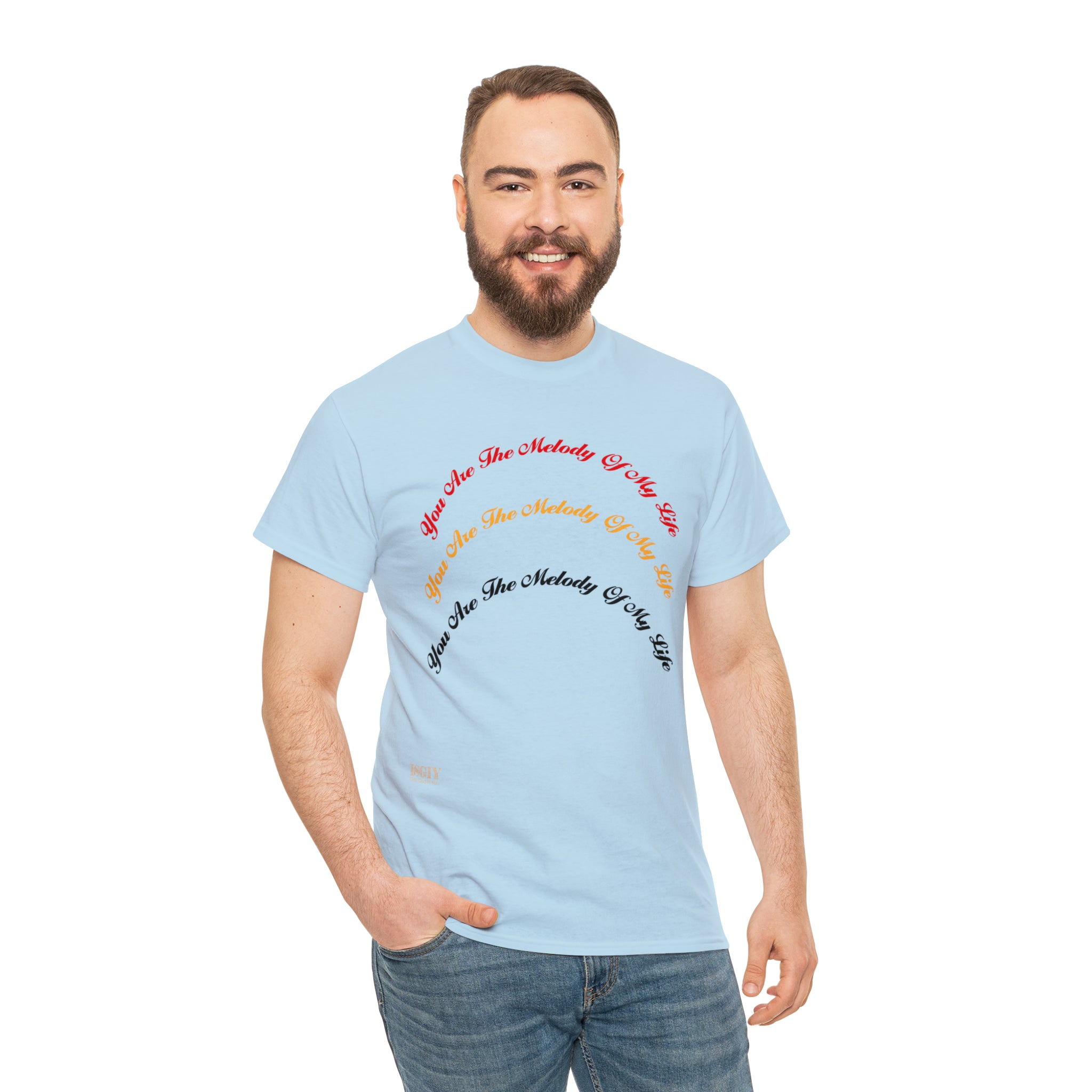 Unisex Heavy Cotton Tee...You Are The Melody multi