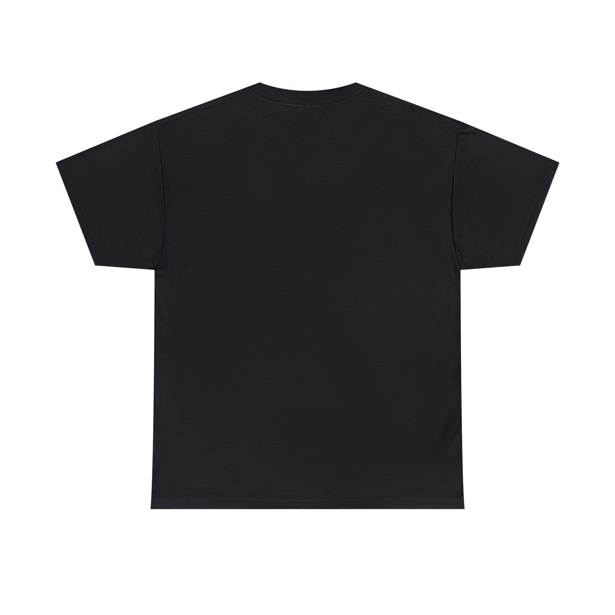 Unisex Heavy Cotton Tee...You Are The Melody multi