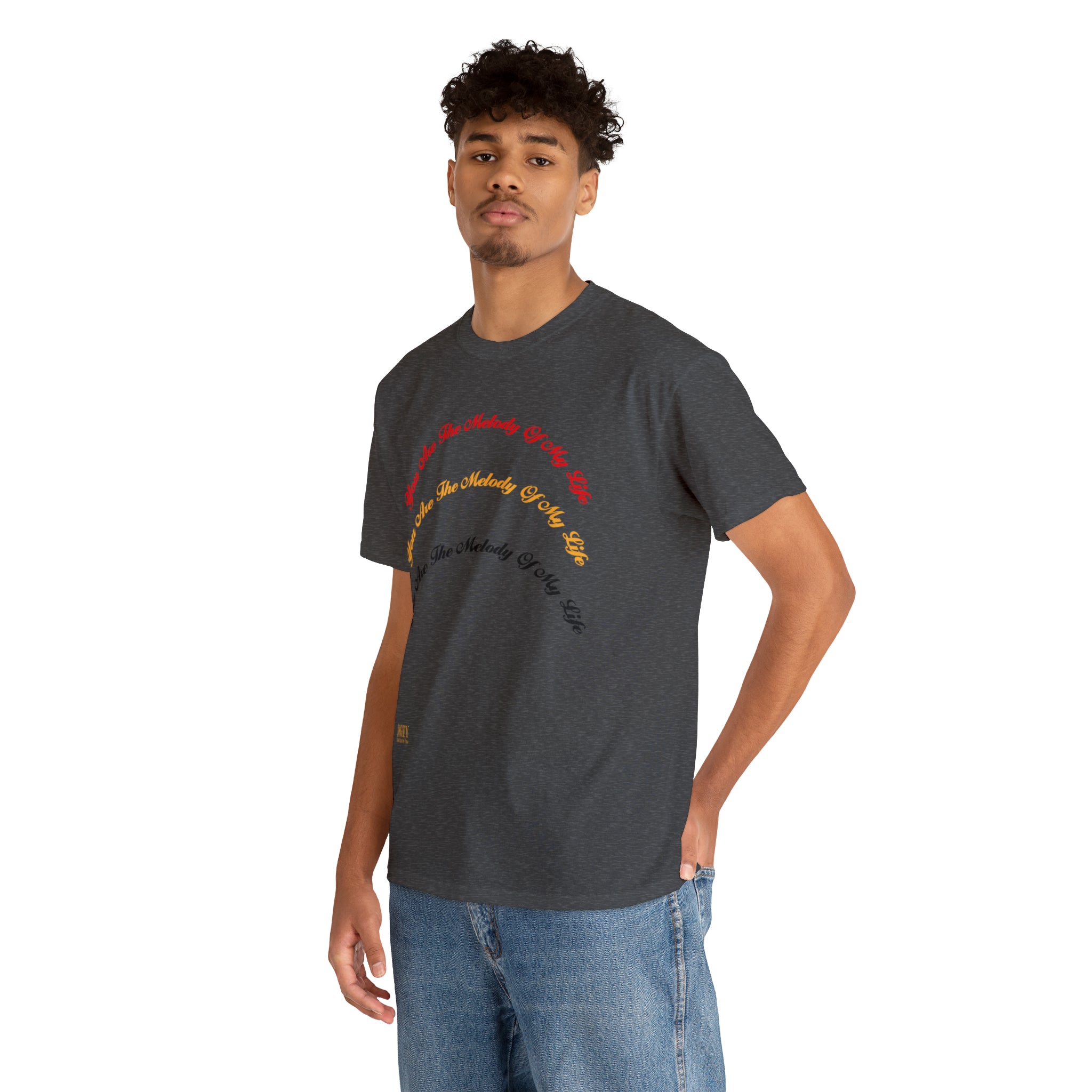 Unisex Heavy Cotton Tee...You Are The Melody multi