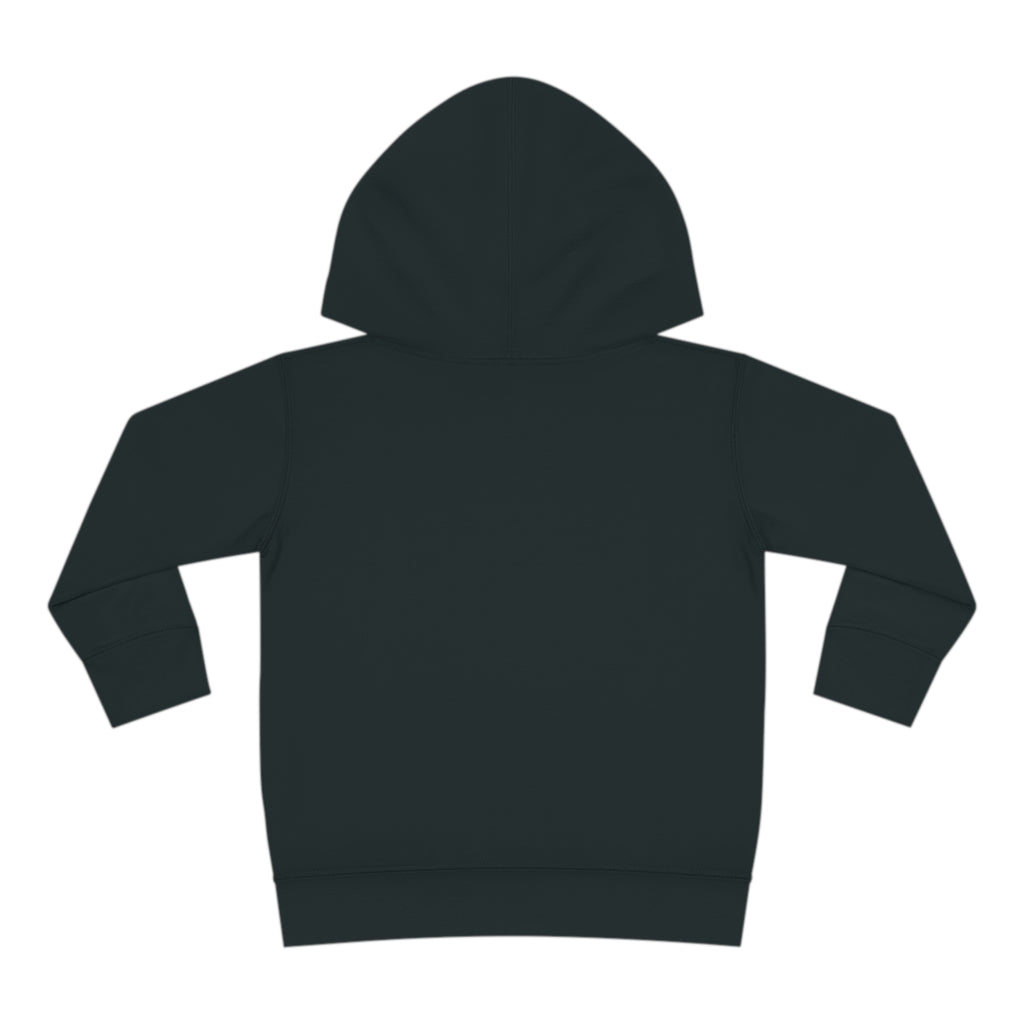 Toddler Pullover Fleece Hoodie Love Over Fear
