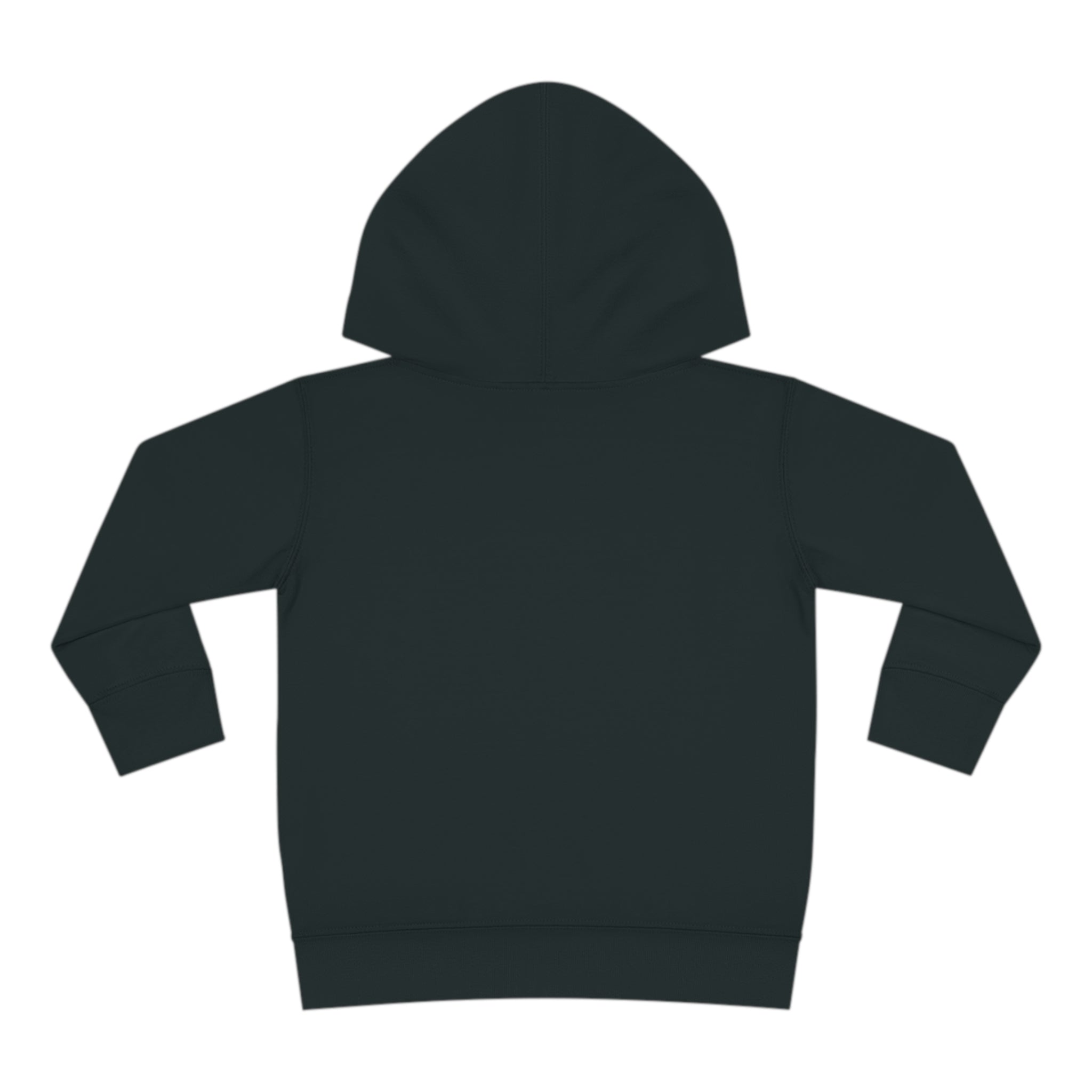 Toddler Pullover Fleece Hoodie Love Over Fear