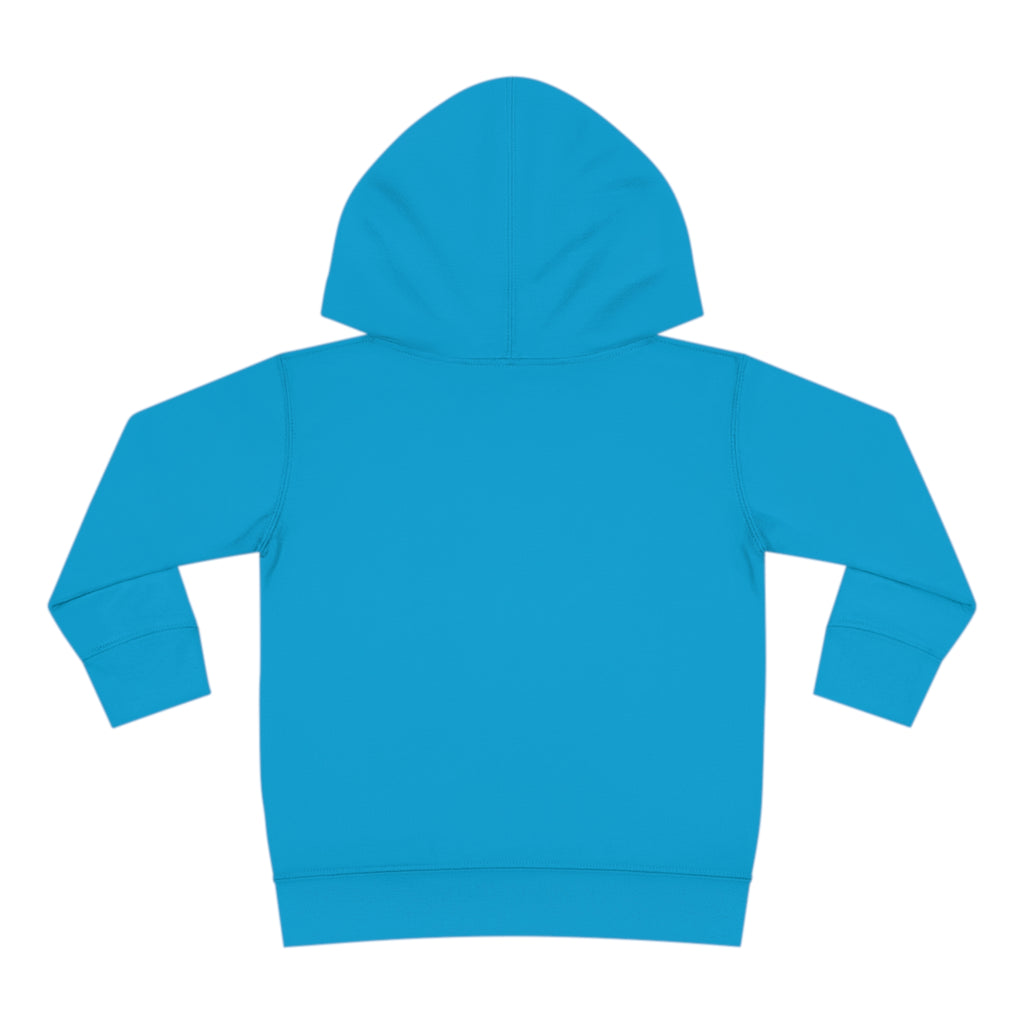 Toddler Pullover Fleece Hoodie Love Over Fear