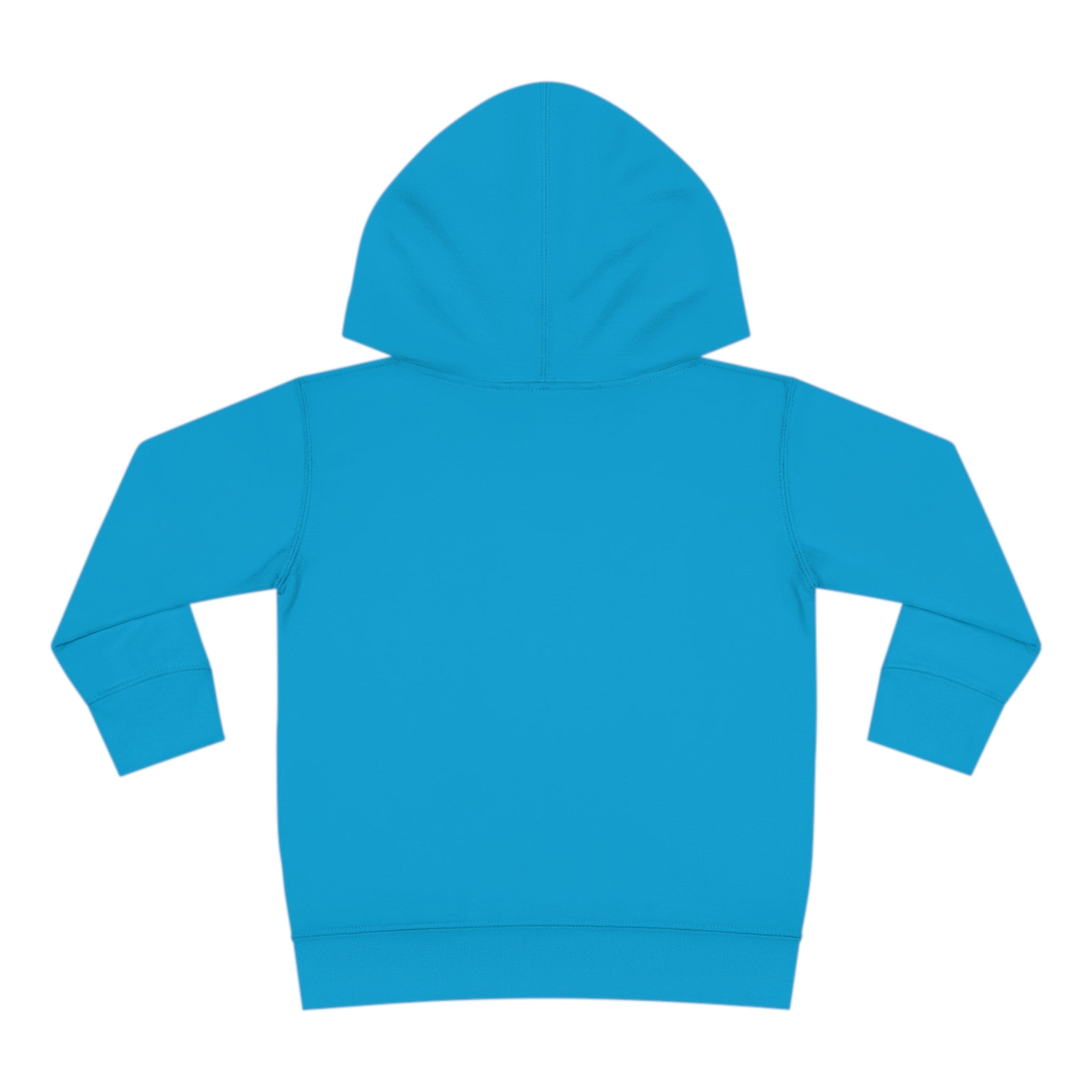 Toddler Pullover Fleece Hoodie Love Over Fear