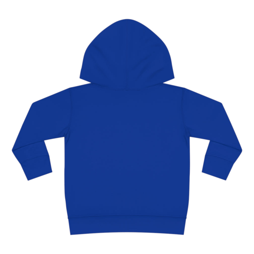 Toddler Pullover Fleece Hoodie Love Over Fear