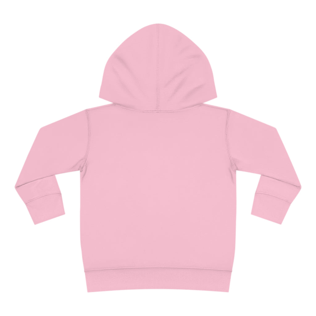 Toddler Pullover Fleece Hoodie Love Over Fear