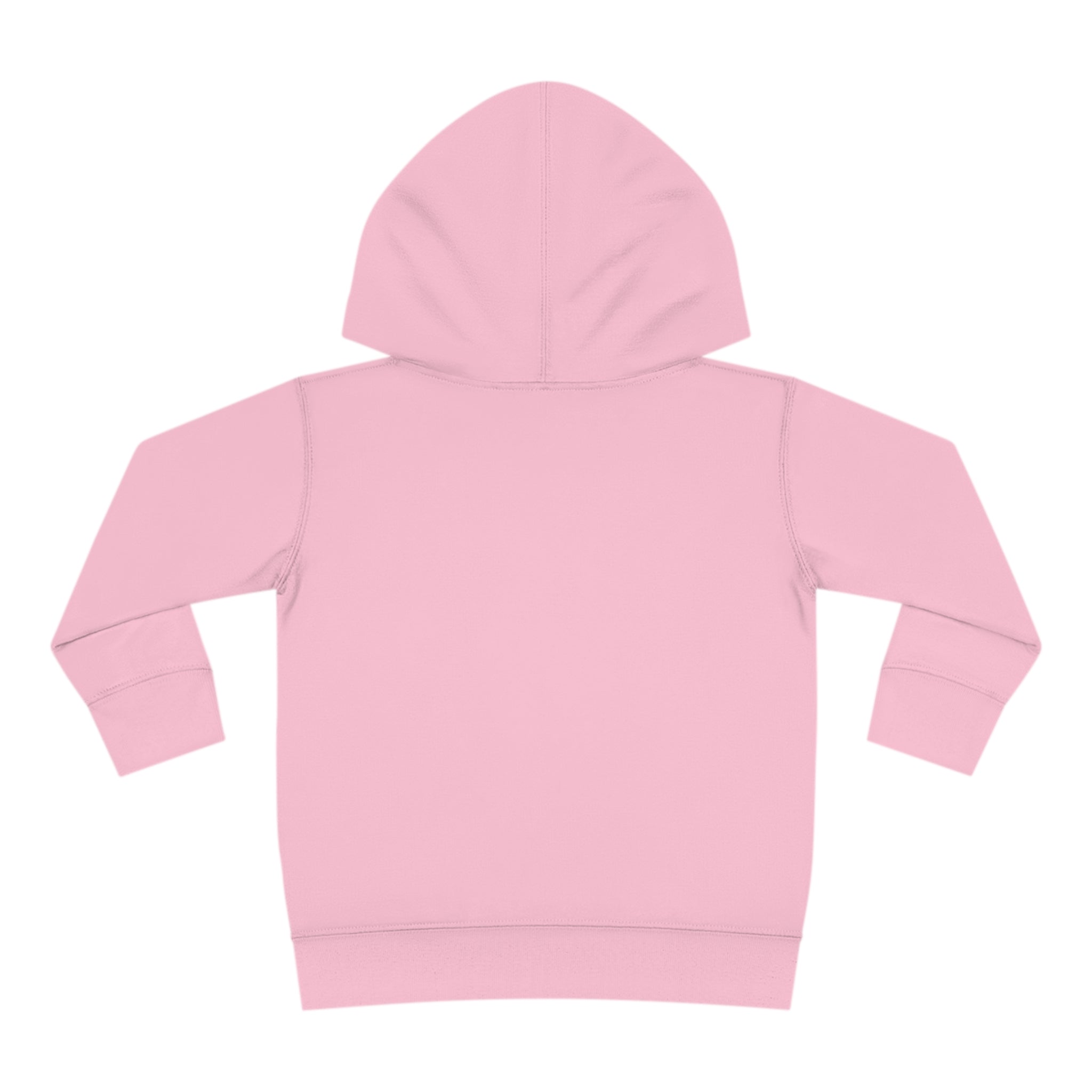 Toddler Pullover Fleece Hoodie Love Over Fear