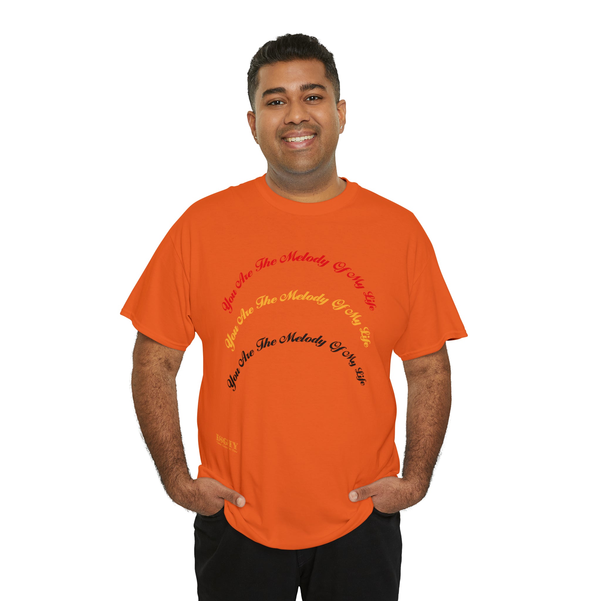 Unisex Heavy Cotton Tee...You Are The Melody multi