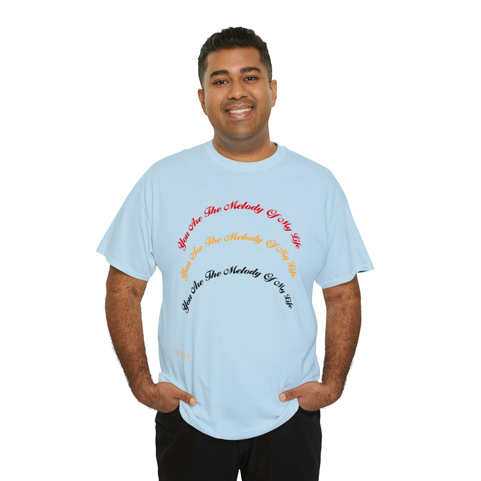 Unisex Heavy Cotton Tee...You Are The Melody multi