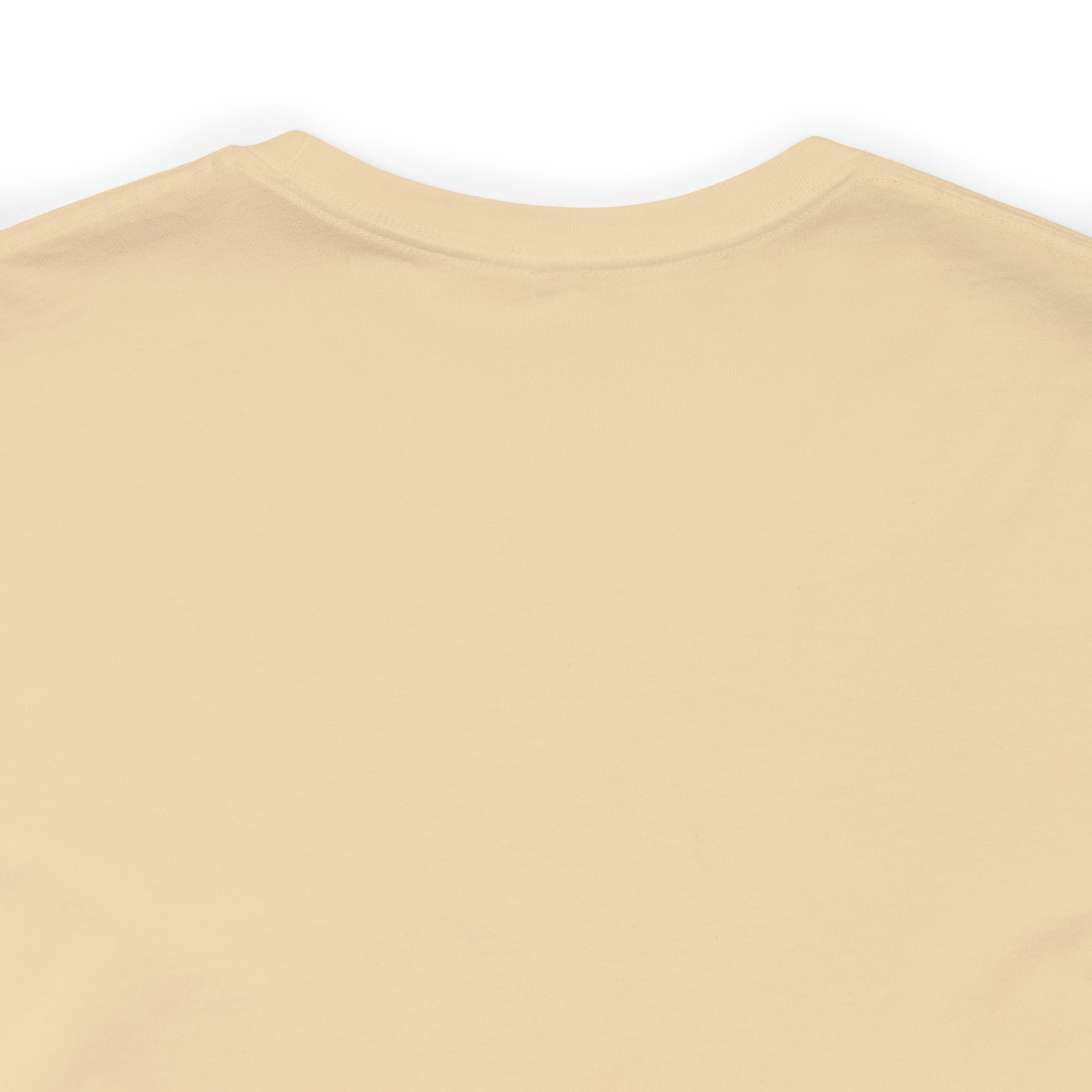 Unisex Jersey Short Sleeve Tee. Love Over Fear