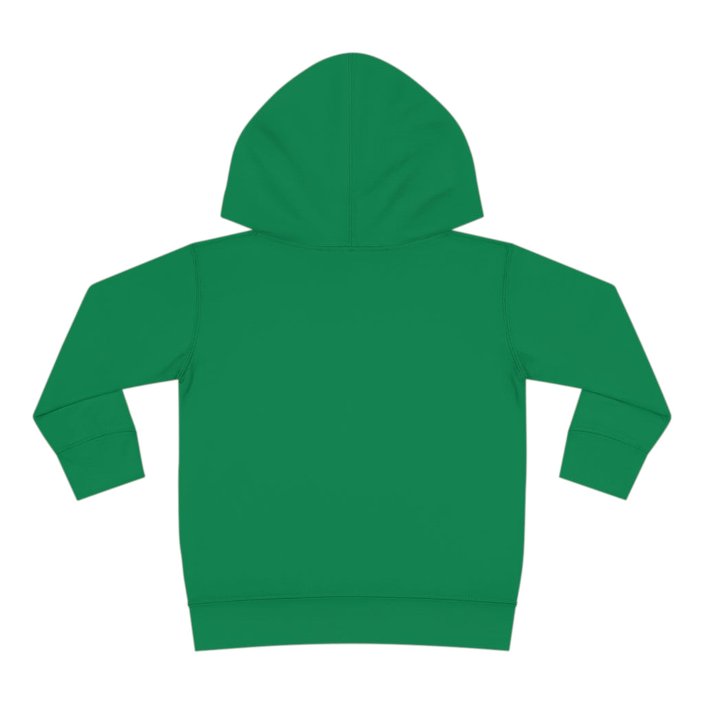 Toddler Pullover Fleece Hoodie Love Over Fear