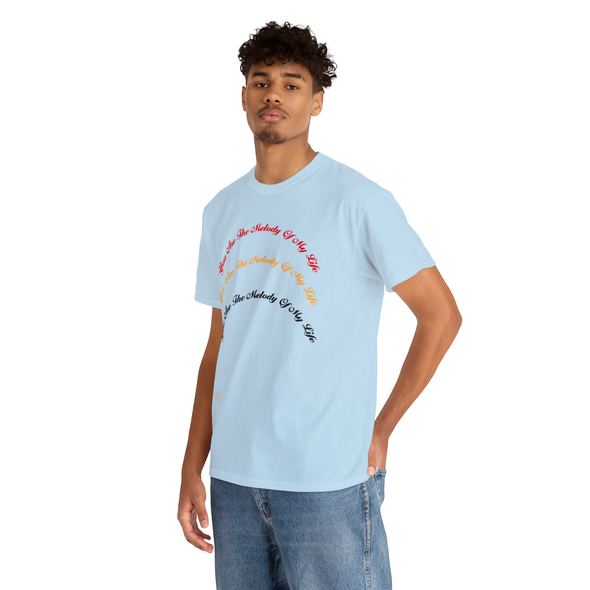 Unisex Heavy Cotton Tee...You Are The Melody multi