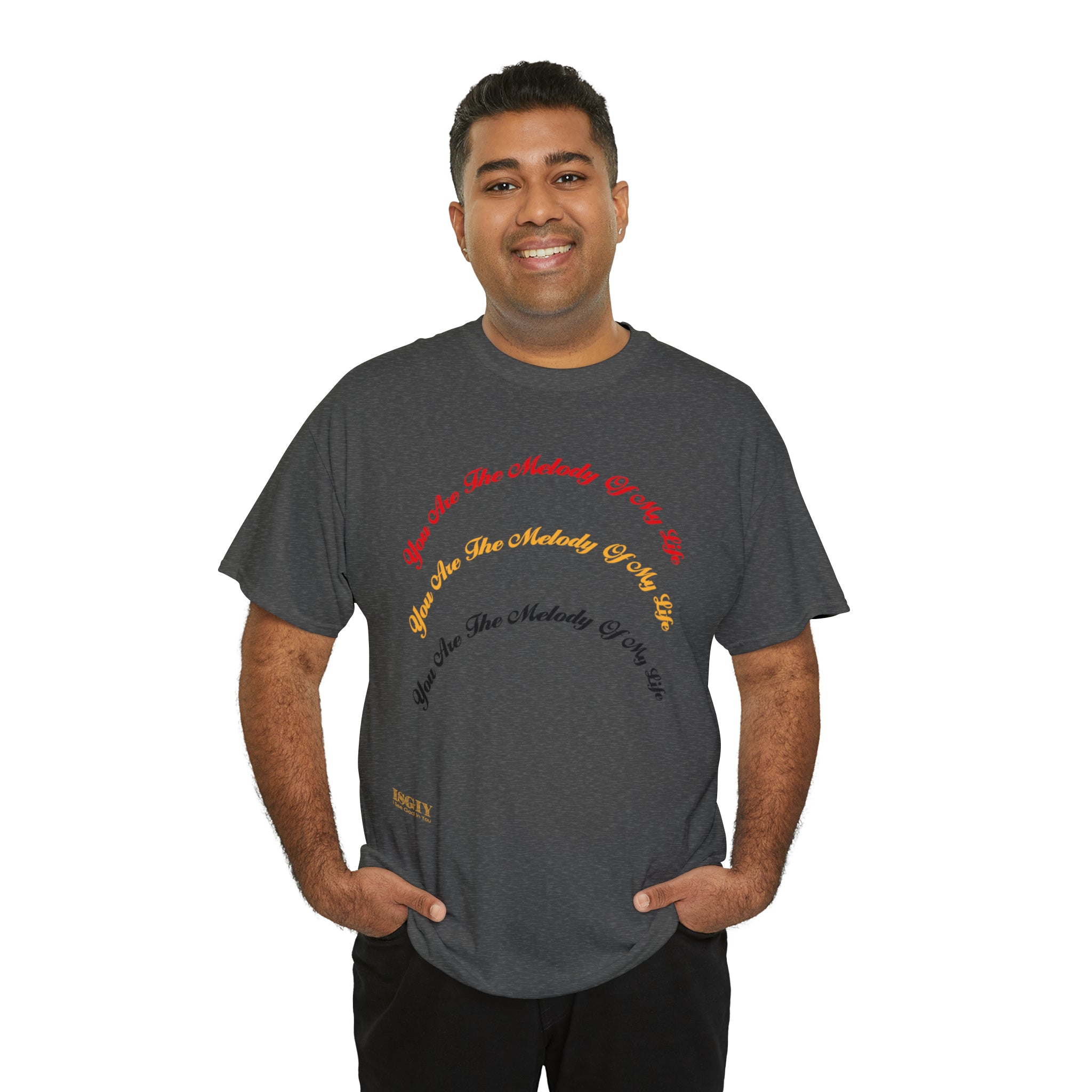 Unisex Heavy Cotton Tee...You Are The Melody multi