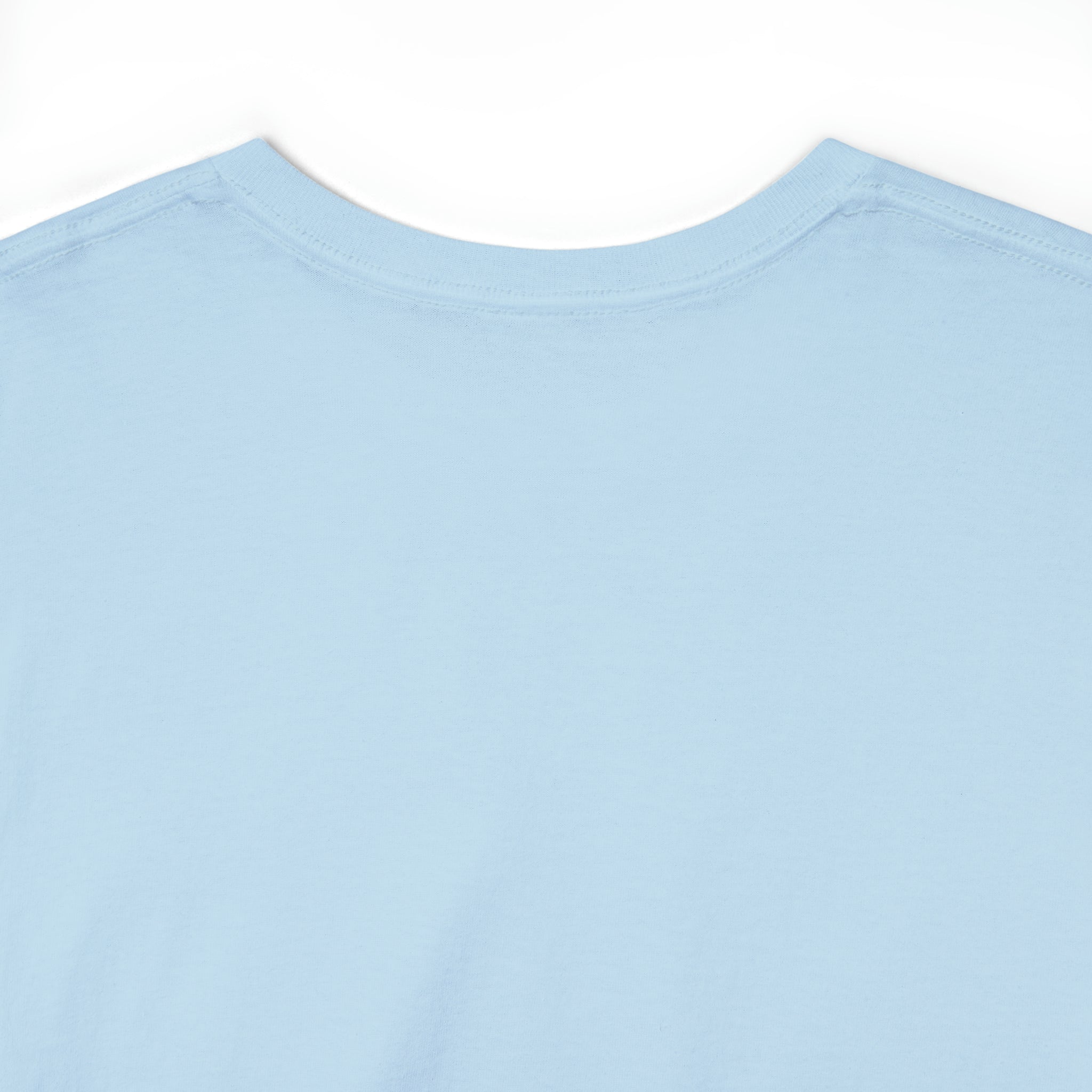 Unisex Heavy Cotton Tee...You Are The Melody multi