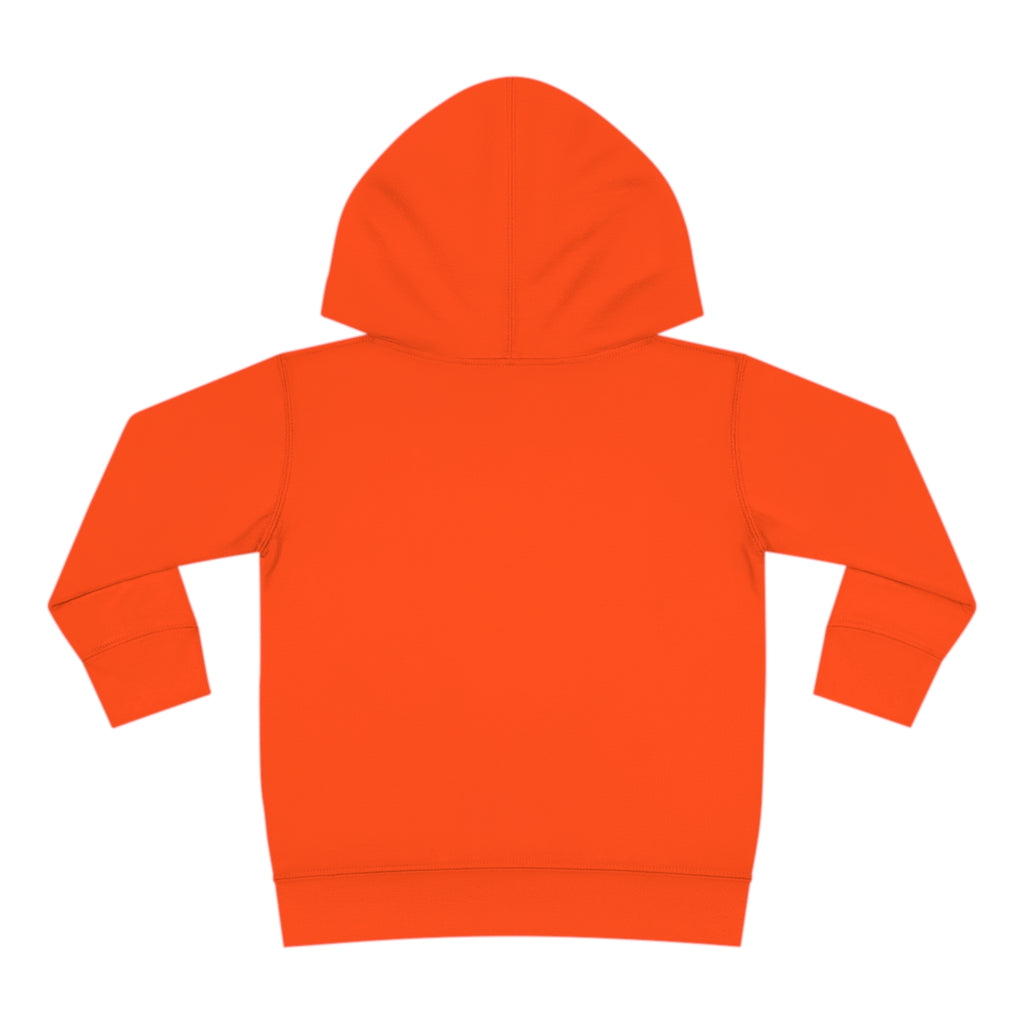Toddler Pullover Fleece Hoodie Love Over Fear