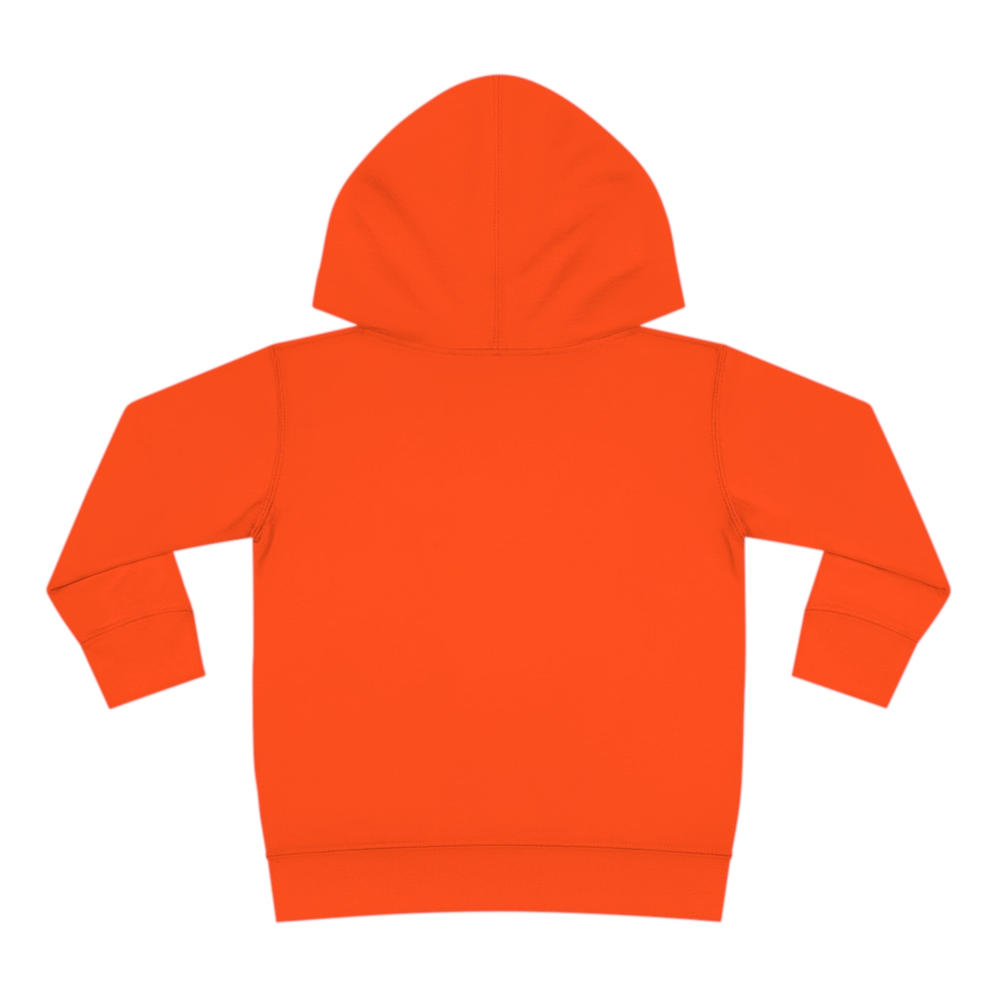 Toddler Pullover Fleece Hoodie Love Over Fear