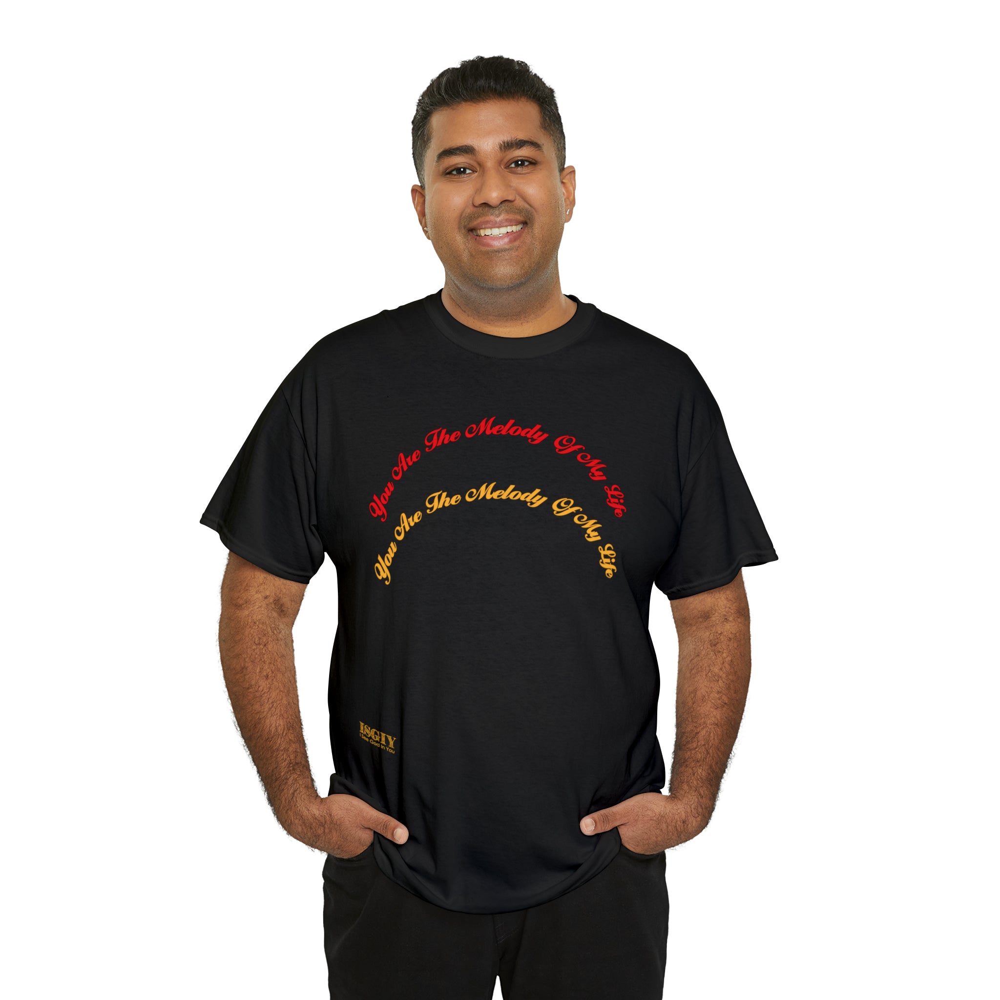 Unisex Heavy Cotton Tee...You Are The Melody multi