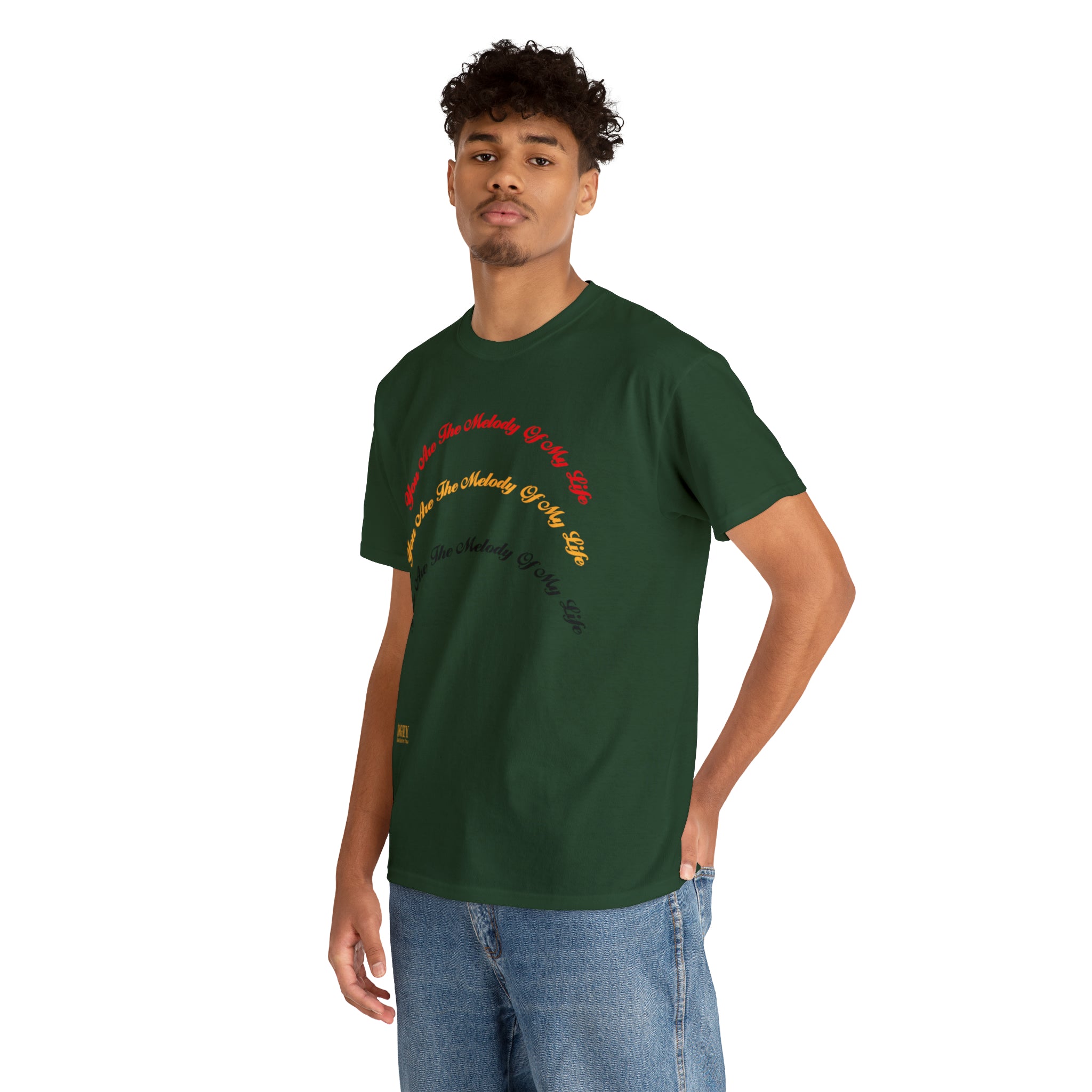 Unisex Heavy Cotton Tee...You Are The Melody multi