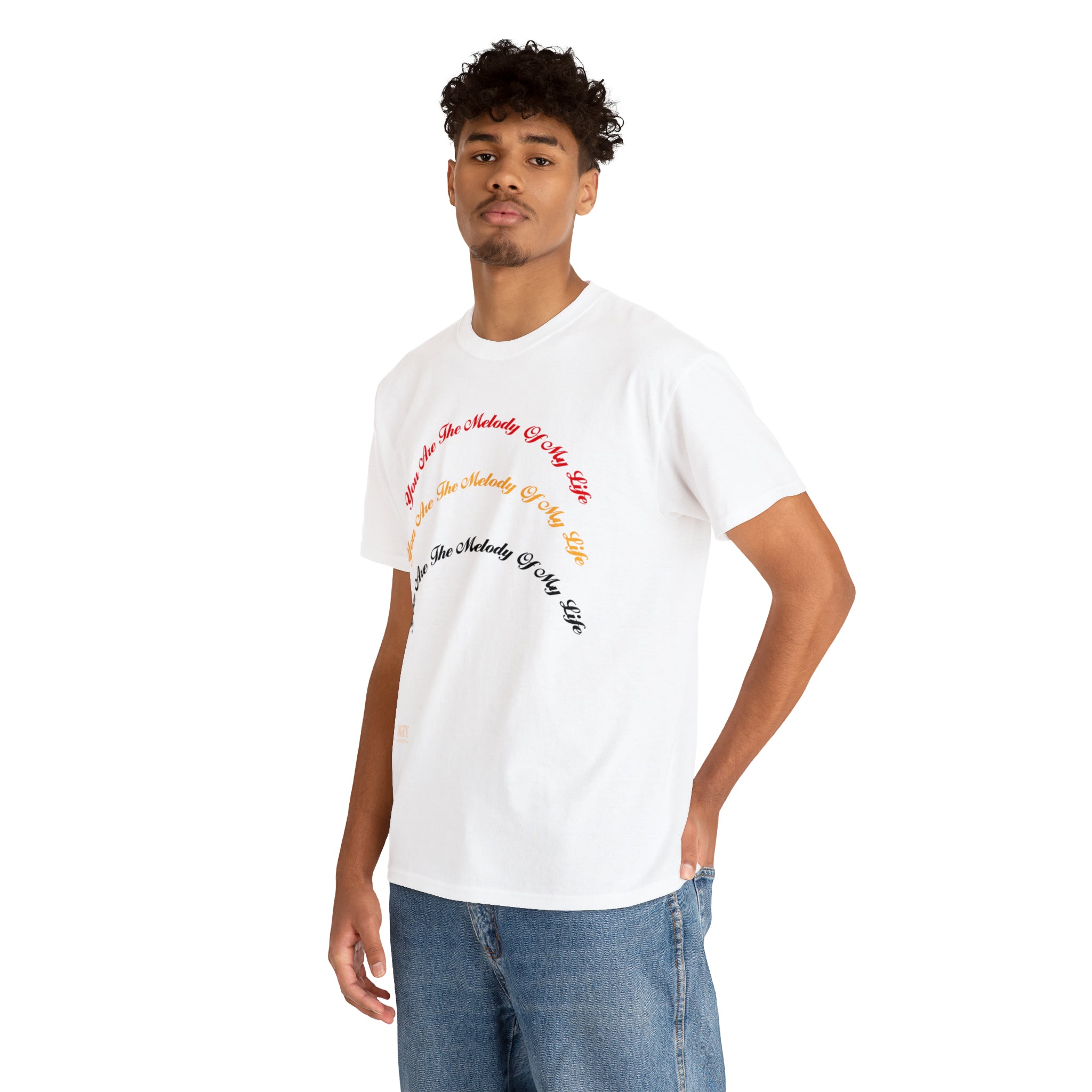 Unisex Heavy Cotton Tee...You Are The Melody multi