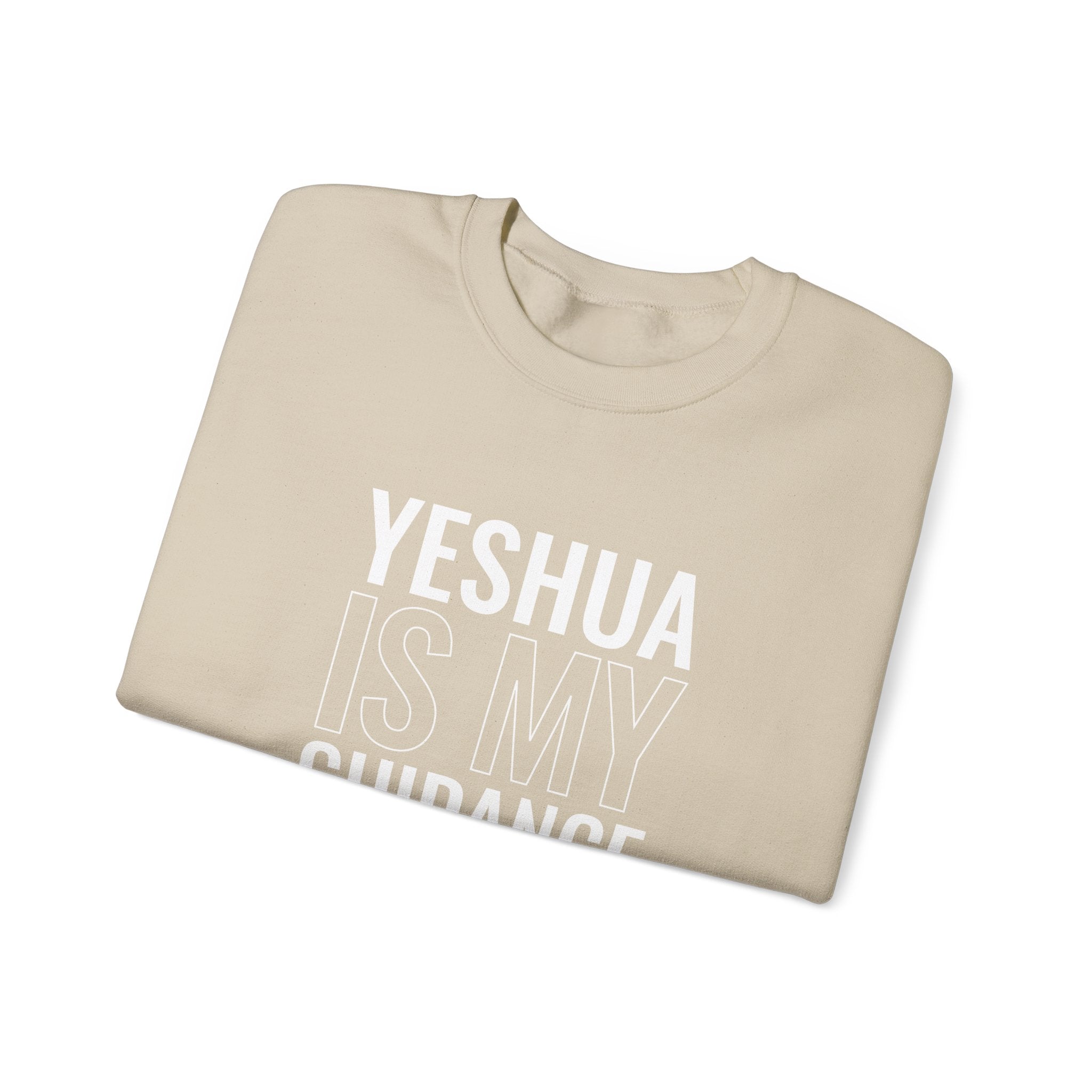 Yeshua Is My Guidance Counselor Sweatshirt