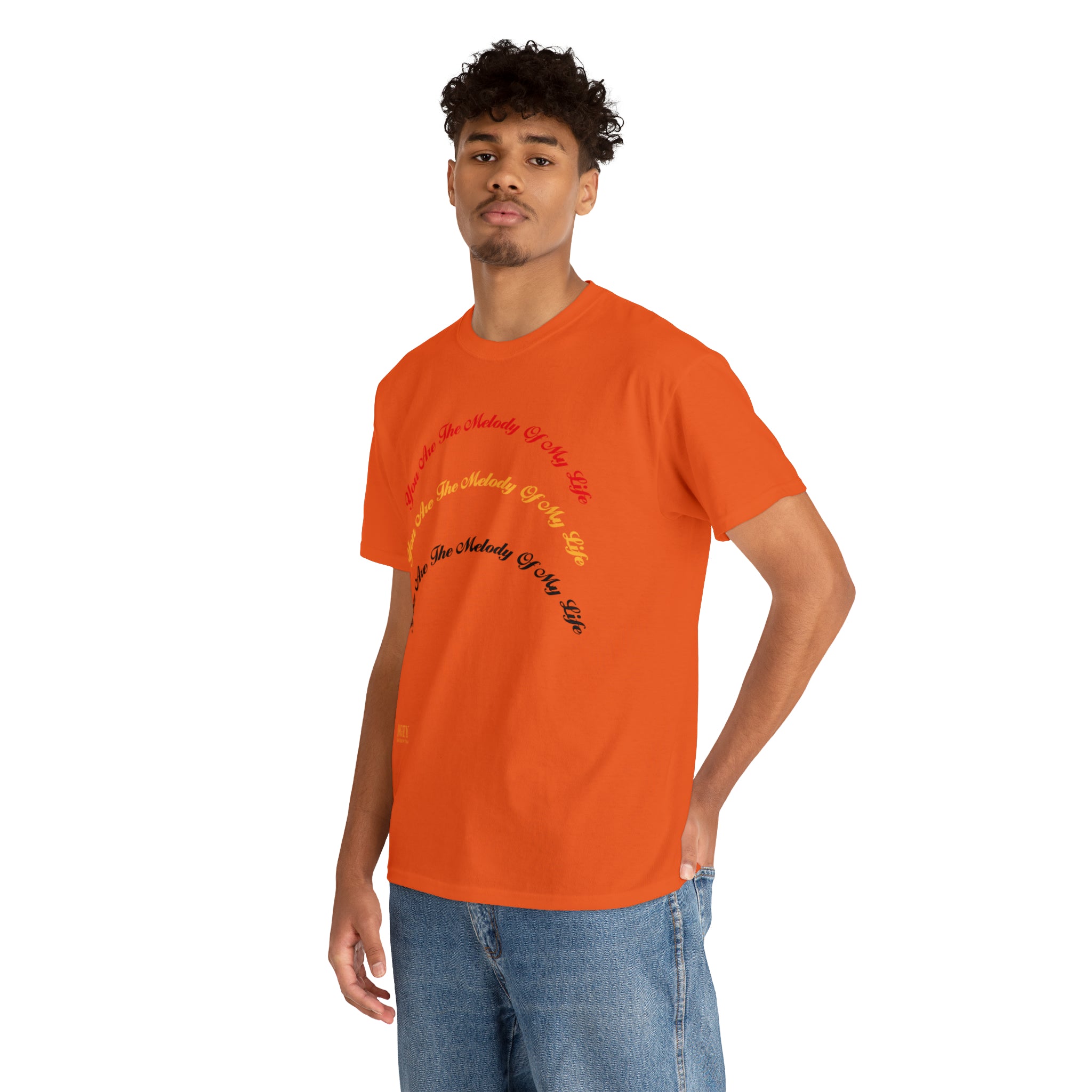 Unisex Heavy Cotton Tee...You Are The Melody multi