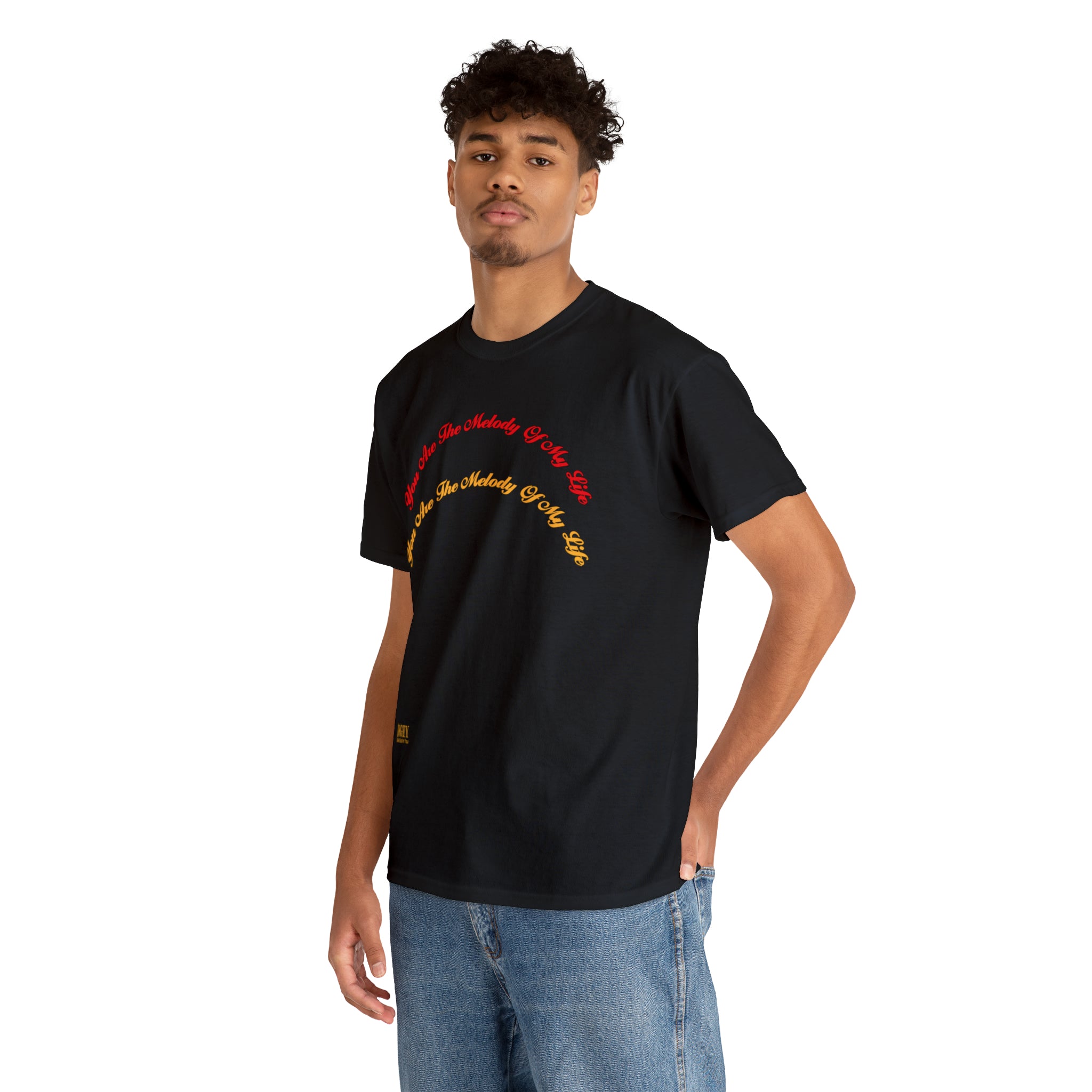 Unisex Heavy Cotton Tee...You Are The Melody multi