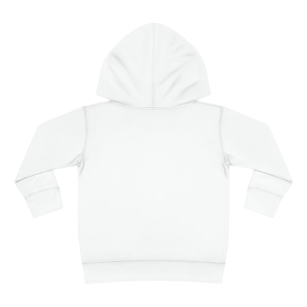Toddler Pullover Fleece Hoodie Love Over Fear