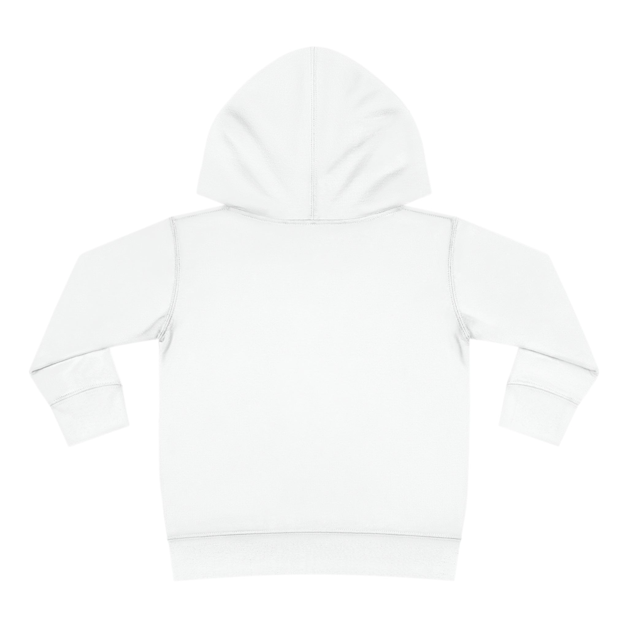 Toddler Pullover Fleece Hoodie Love Over Fear
