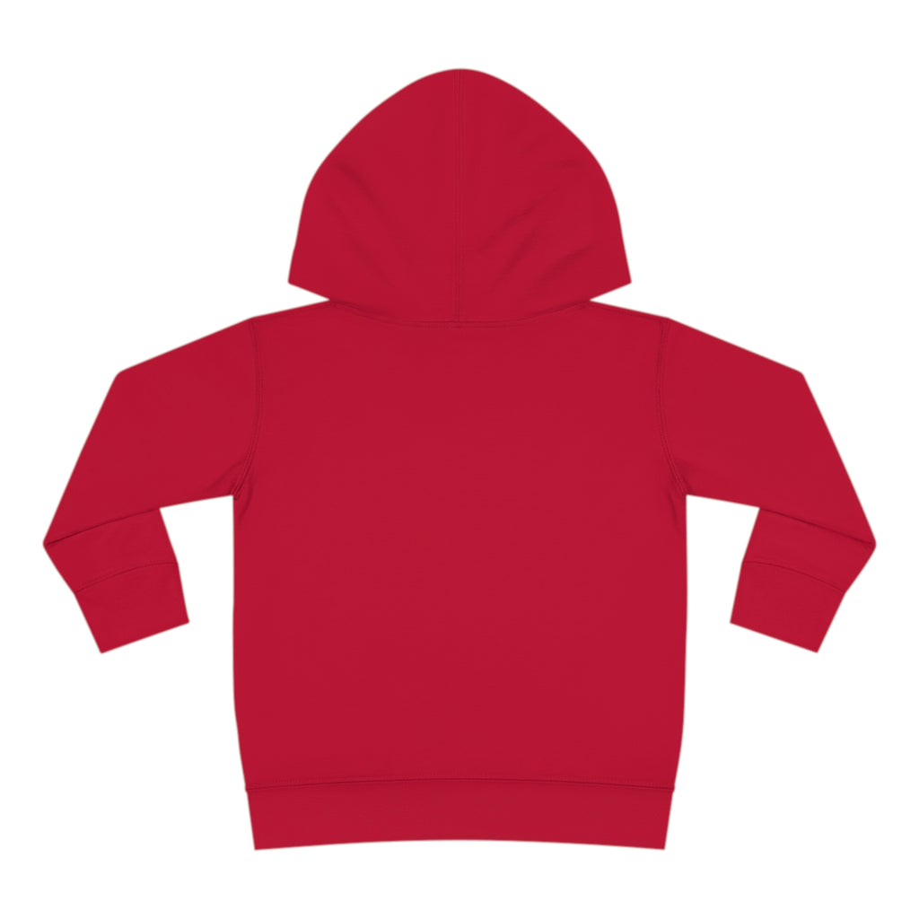 Toddler Pullover Fleece Hoodie Love Over Fear