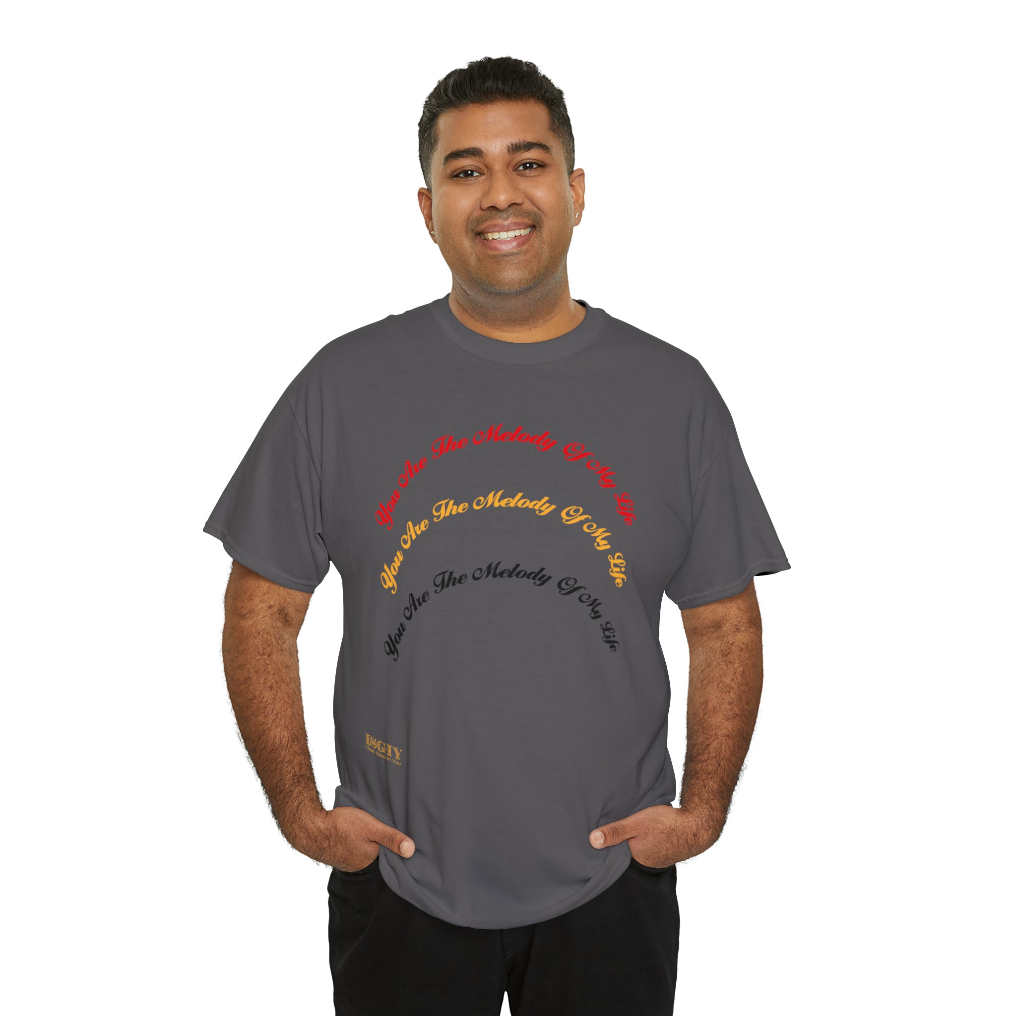 Unisex Heavy Cotton Tee...You Are The Melody multi