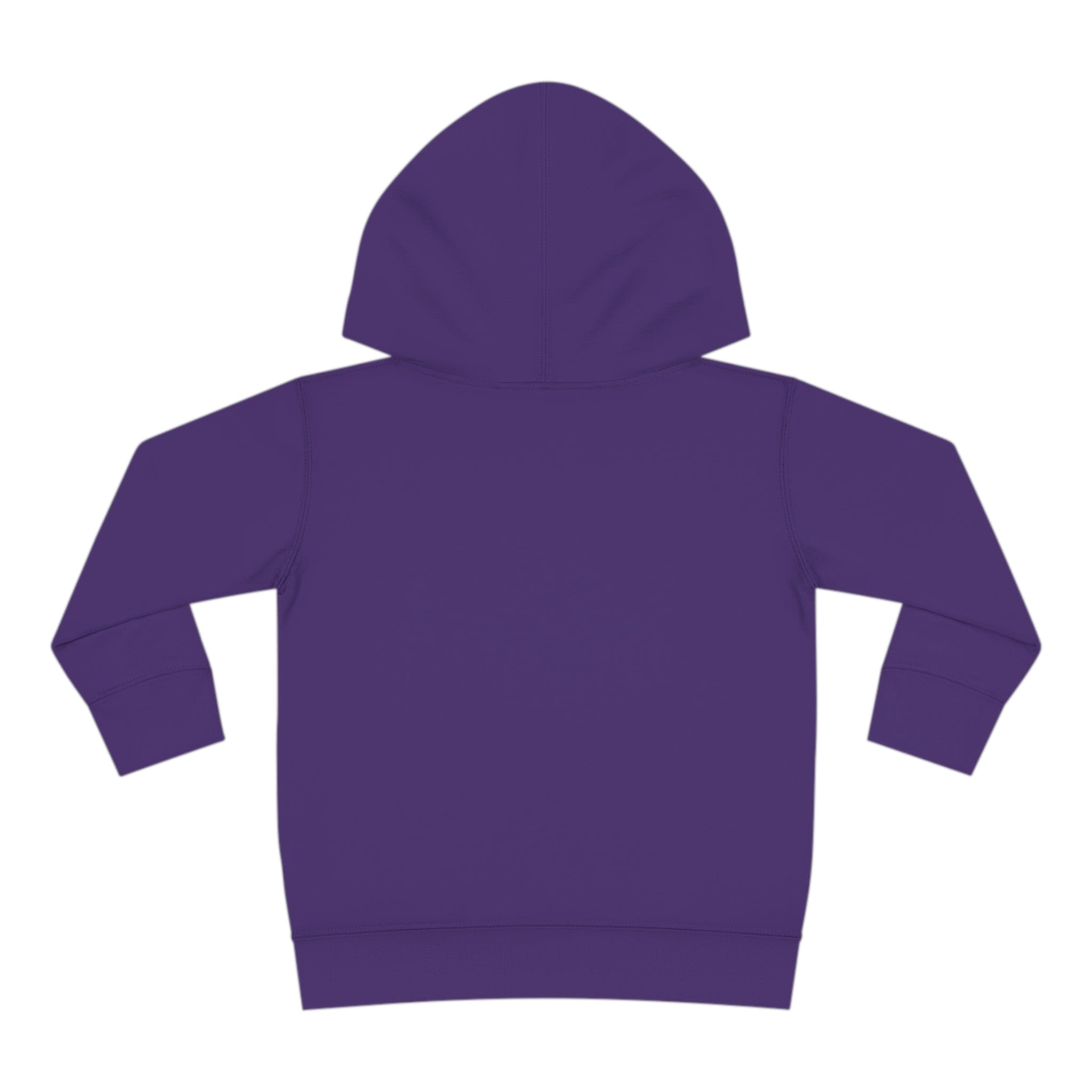 Toddler Pullover Fleece Hoodie Love Over Fear
