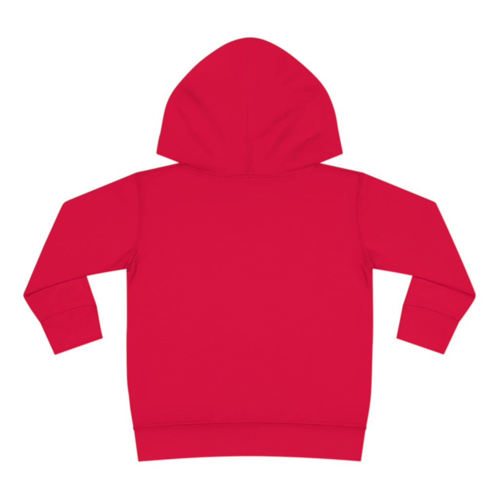 Toddler Pullover Fleece Hoodie Love Over Fear