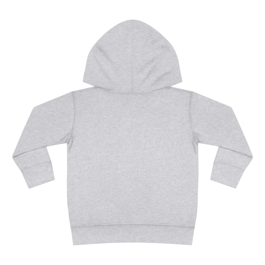 Toddler Pullover Fleece Hoodie Love Over Fear