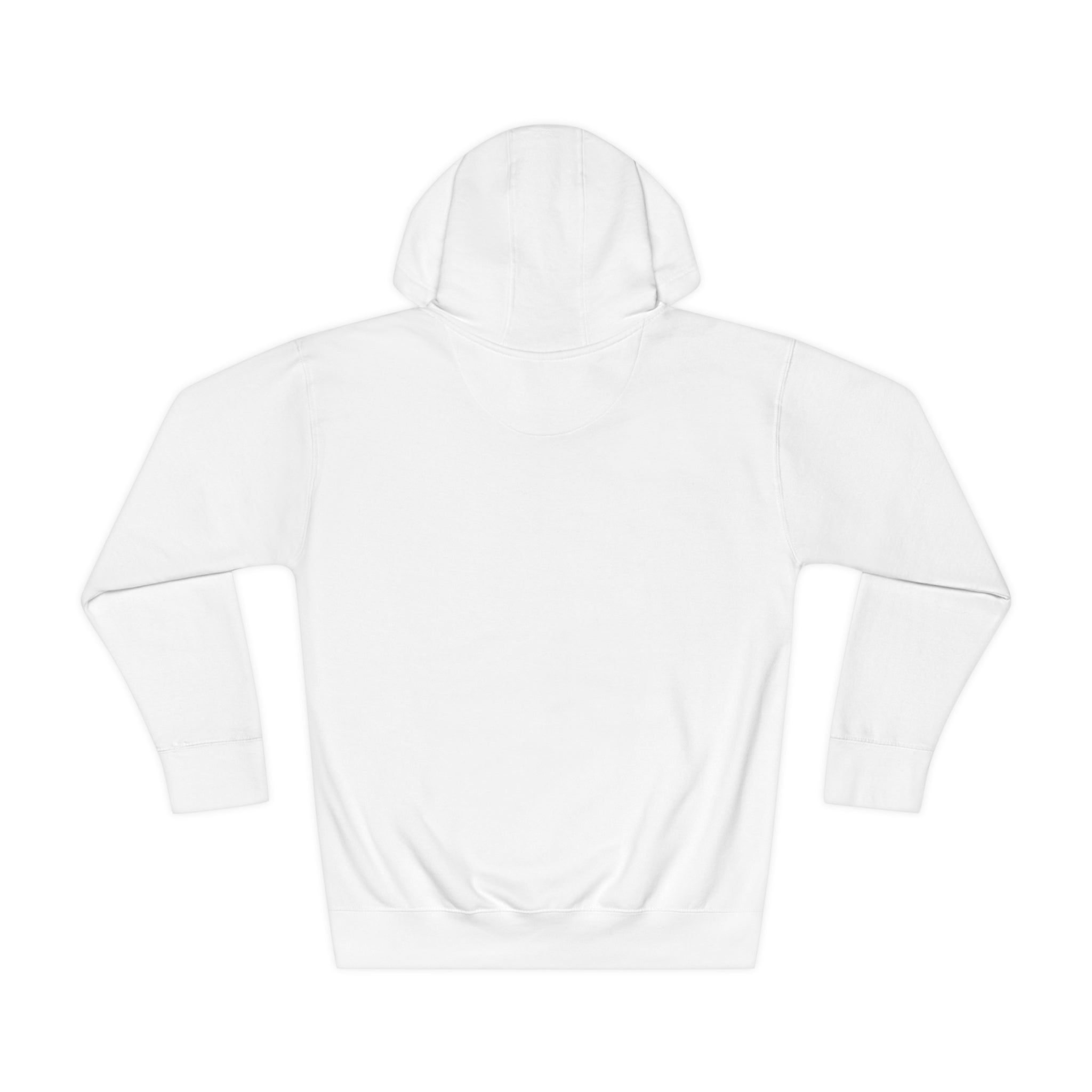 Unisex Fleece Hoodie...Love Over Fear